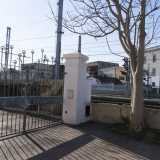 ...e un grande cancello grigio in ferro battuto con su scritto �Speciale Tarshito� 